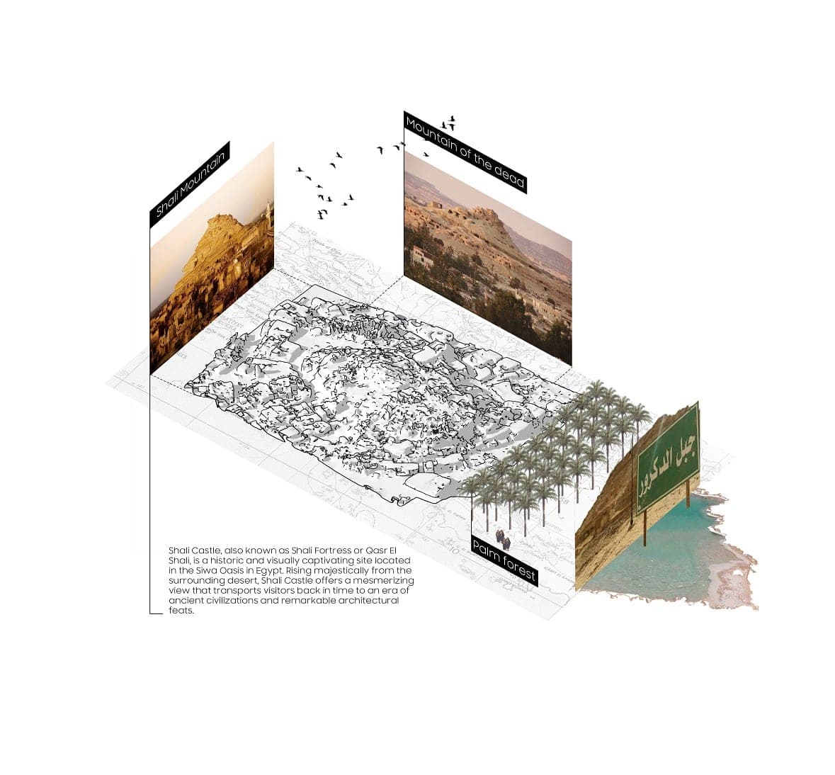 رحلة في فن التصميم — لوحة 8